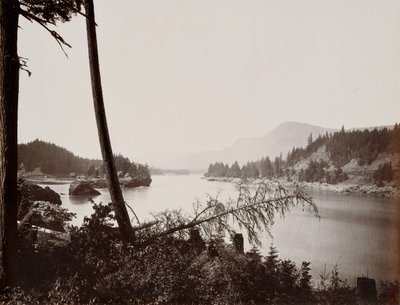 Udsigt over Columbia, Cascades, 1867. af Carleton Emmons Watkins