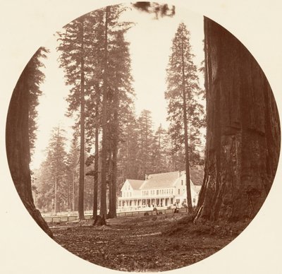 W. C. Bryant - Calaveras Grove, ca. 1878. af Carleton Emmons Watkins