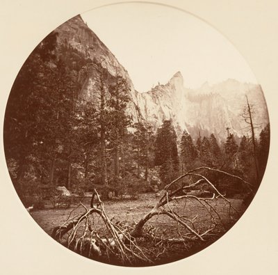 [Yosemite National Park, Californien], ca. 1878. af Carleton Emmons Watkins