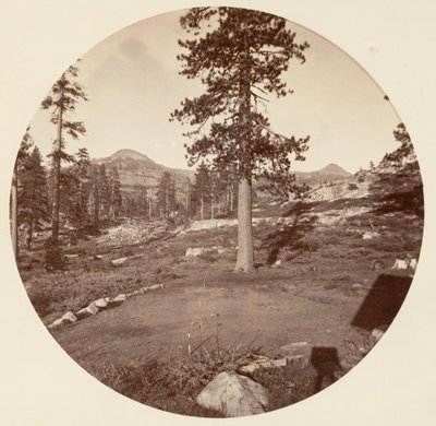 [Yosemite National Park, Californien], ca. 1878. af Carleton Emmons Watkins