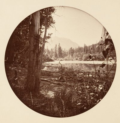 [Yosemite National Park, Californien], ca. 1878. af Carleton Emmons Watkins