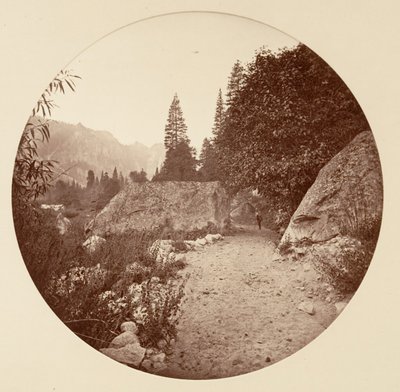 [Yosemite National Park, Californien], ca. 1878. af Carleton Emmons Watkins