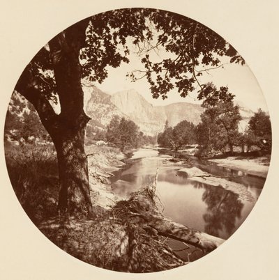[Yosemite National Park, Californien], ca. 1878. af Carleton Emmons Watkins