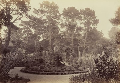  af Carleton Watkins