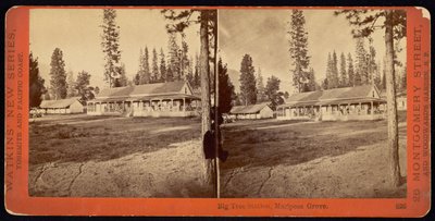 Big Tree Station, Mariposa Grove af Carleton Watkins