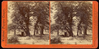 Hytte i Camp Grove, Yosemite Valley, Mariposa County, Ca af Carleton Watkins
