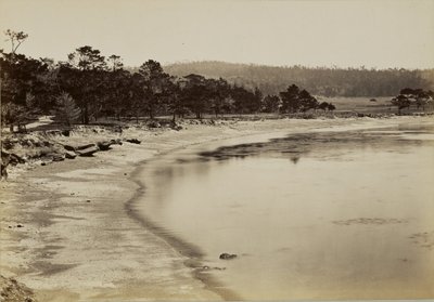  af Carleton Watkins