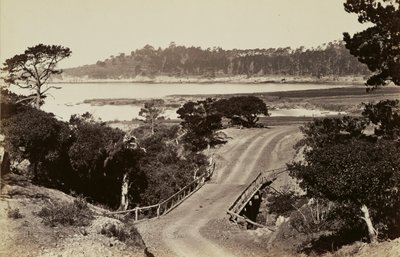 [Udsigt over kysten nær Monterey] af Carleton Watkins
