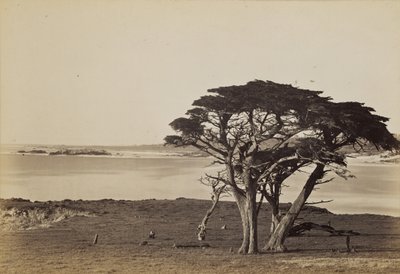  af Carleton Watkins