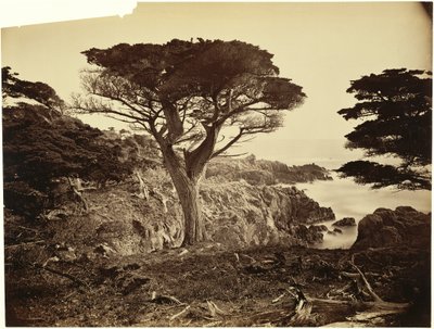  af Carleton Watkins