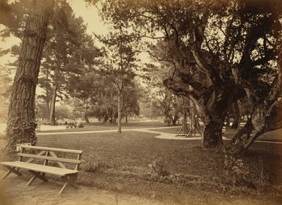 [Monterey, Californien. Hotel Del Monte, Lawn View]. af Carleton Watkins