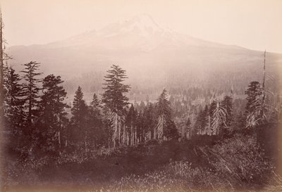  af Carleton Watkins