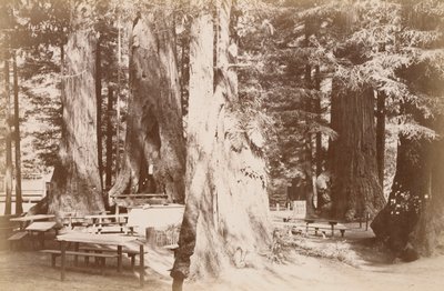  af Carleton Watkins