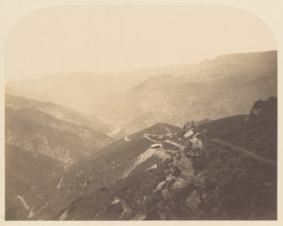 [Pine Tree Mine] af Carleton Watkins