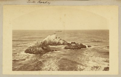 Seal Rocks. af Carleton Watkins