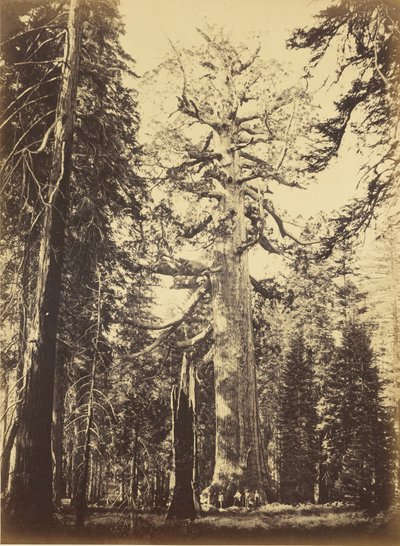  af Carleton Watkins