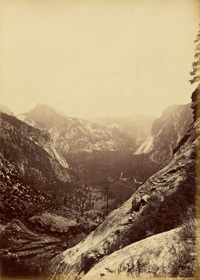 [Kuplerne fra foden af Upper Yosemite]. af Carleton Watkins