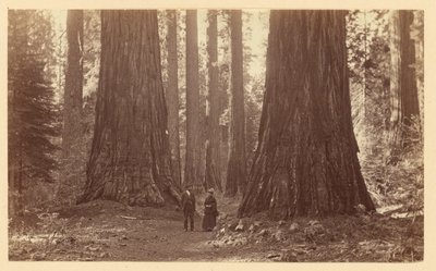  af Carleton Watkins