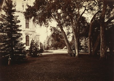 [Thurlow Lodge - Plæne og hus. Fra Barron Cluster]. af Carleton Watkins