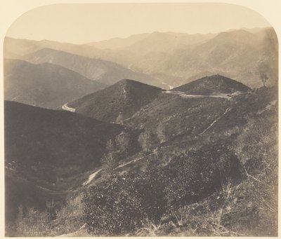 [Udsigt fra Mt. Josephine, set mod nord] / [Udsigt mod nord] af Carleton Watkins