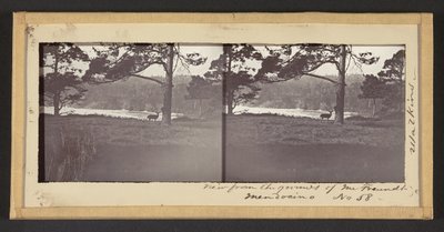 Udsigt fra Freundts grund, Mendocino af Carleton Watkins