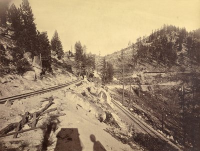 Udsigt over Tahoe-søen af Carleton Watkins
