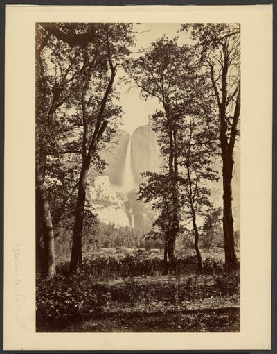  af Carleton Watkins