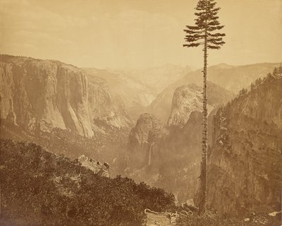  af Carleton Watkins