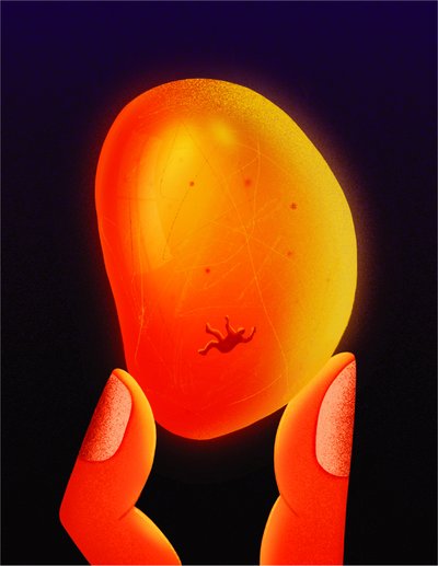 Amber, 2020 (digital illustration) af Carlo Alberto Giardina