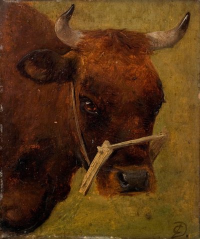 Hovedet af en ko. Undersøgelse. af Carlo Dalgas