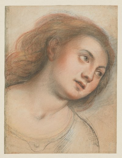 Studie for kvindeligt hoved (verso); Kristi hoved (rekto) af Carlo Francesco Nuvolone