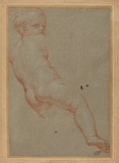 Studie af en ung dreng af Carlo Maratta