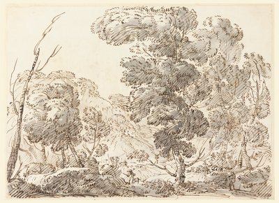 Vej i et bjergrigt land af Carlo Marchionni