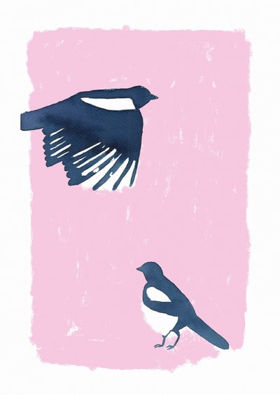 Pink Sky Magpies af Carola Cedell