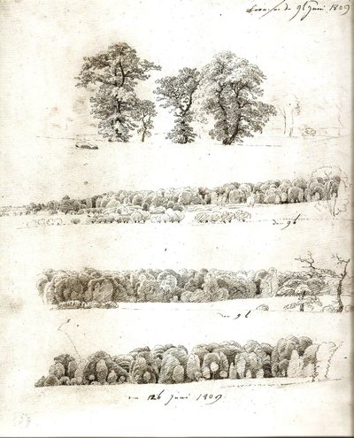 Studier af træer 1809 af Caspar David Friedrich