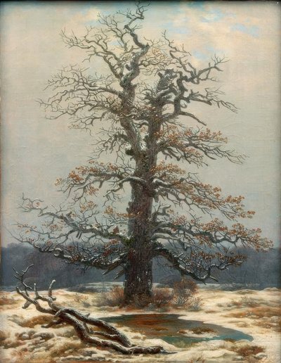 Egetræ i sneen af Caspar David Friedrich