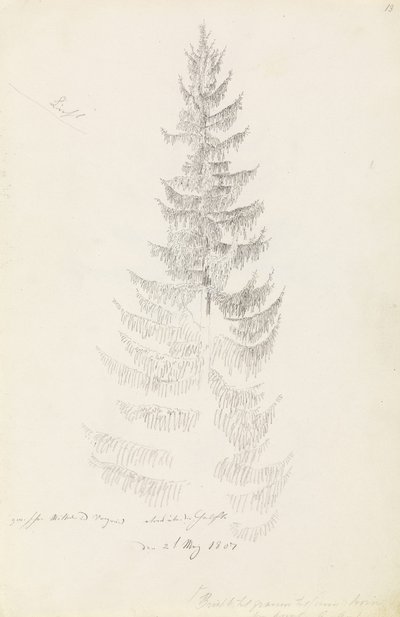 Gran af Caspar David Friedrich