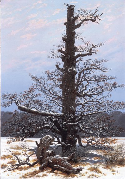 Tysk: Eichbaum im Schnee Egetræet i sneen af Caspar David Friedrich
