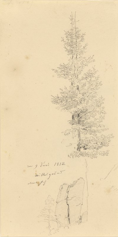 Tysk: Studie mit Fichten und Felsen Studie af grantræer og en sten af Caspar David Friedrich