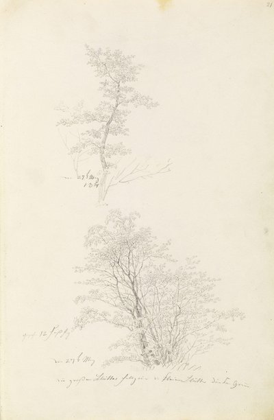 Gruppe af unge træer af Caspar David Friedrich