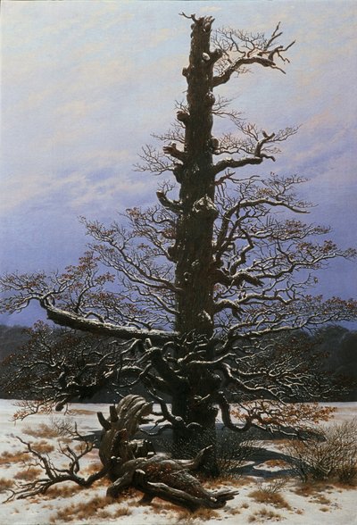 Egetræ i sneen af Caspar David Friedrich