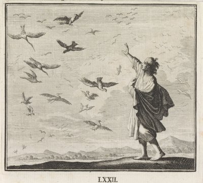 Emblem: fugle af Caspar Luyken
