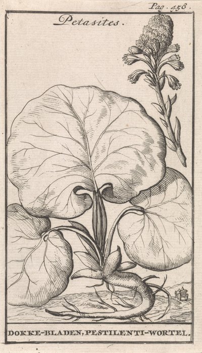 Petasiter af Caspar Luyken