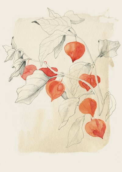  af Catalina Somolinos