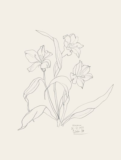 Elegant blomster-stregtegning af Catalina Somolinos