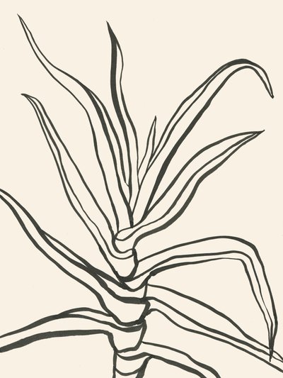 Minimalistisk planteoversigt af Catalina Somolinos