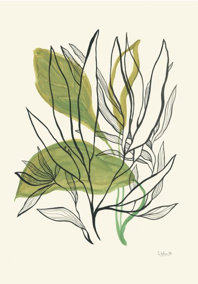 Moderne botaniske blade af Catalina Somolinos