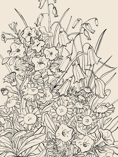 Vilde haveblomster af Catalina Somolinos