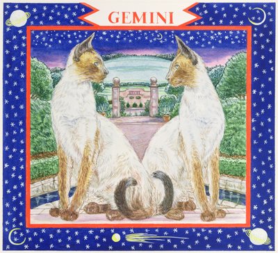 Gemini (wc på papir) af Catherine Bradbury