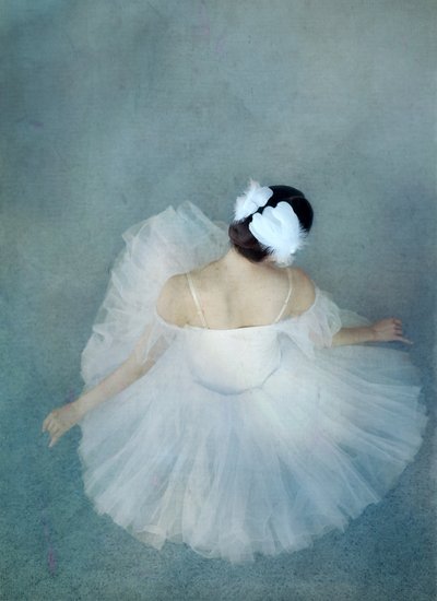 Elegant Ballerina Swan af Catherine Wang